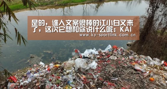 开云热门赛事