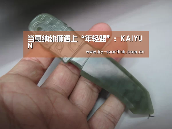 开云官网
