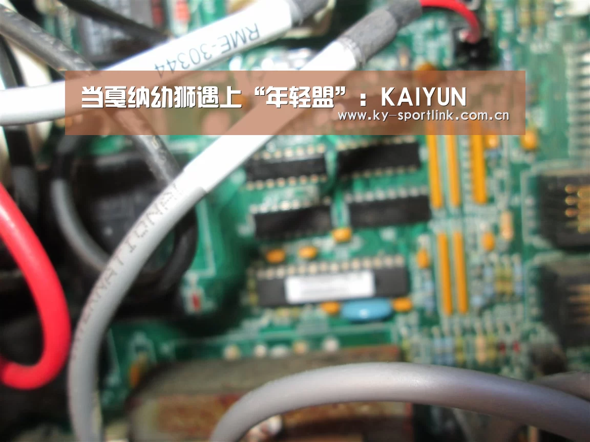 当戛纳幼狮遇上“年轻盟”：KAIYUN(图3)
