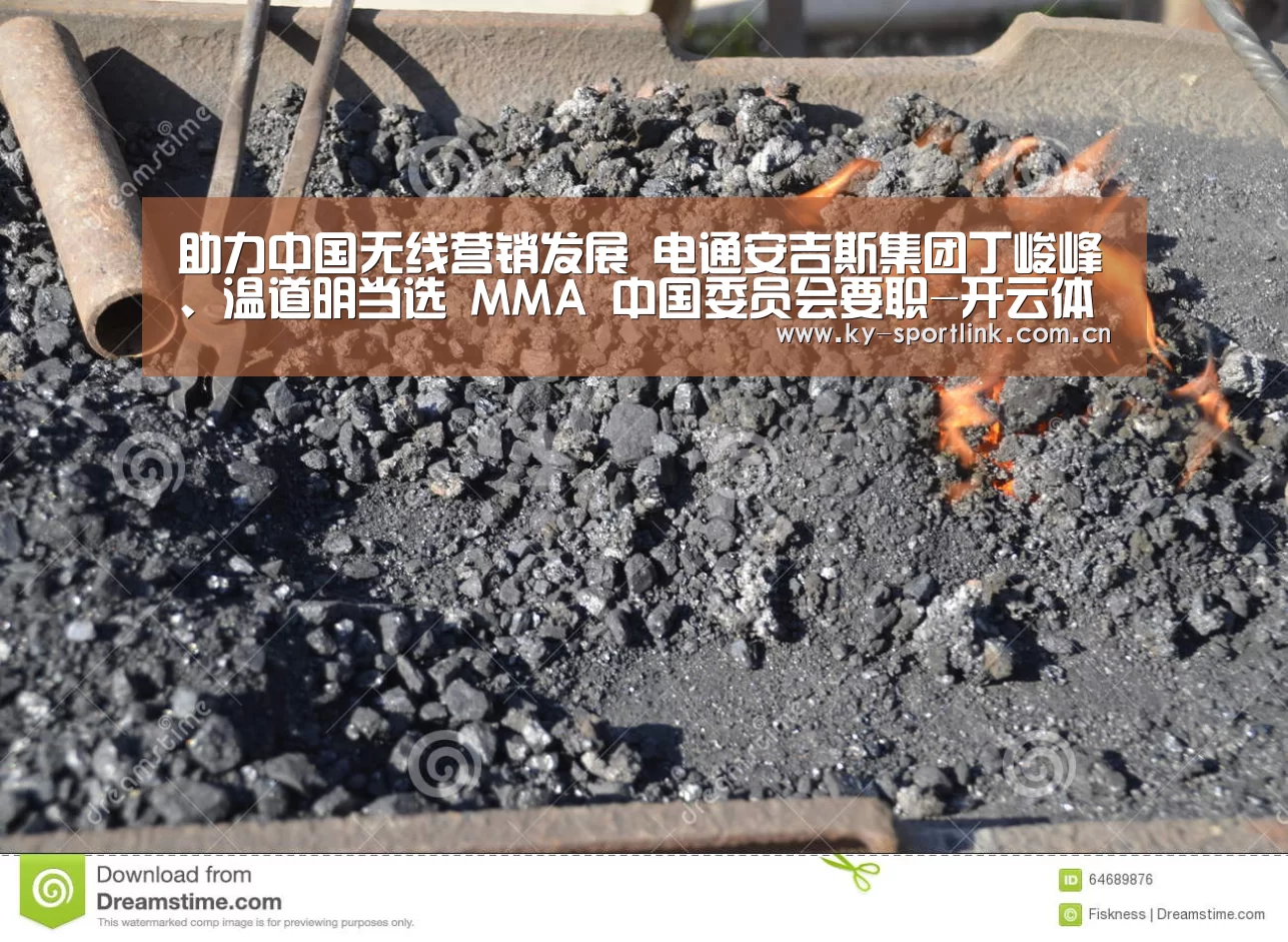 助力中国无线营销发展  电通安吉斯集团丁峻峰、温道明当选 MMA 中国委员会要职-开云体育官网(图1)