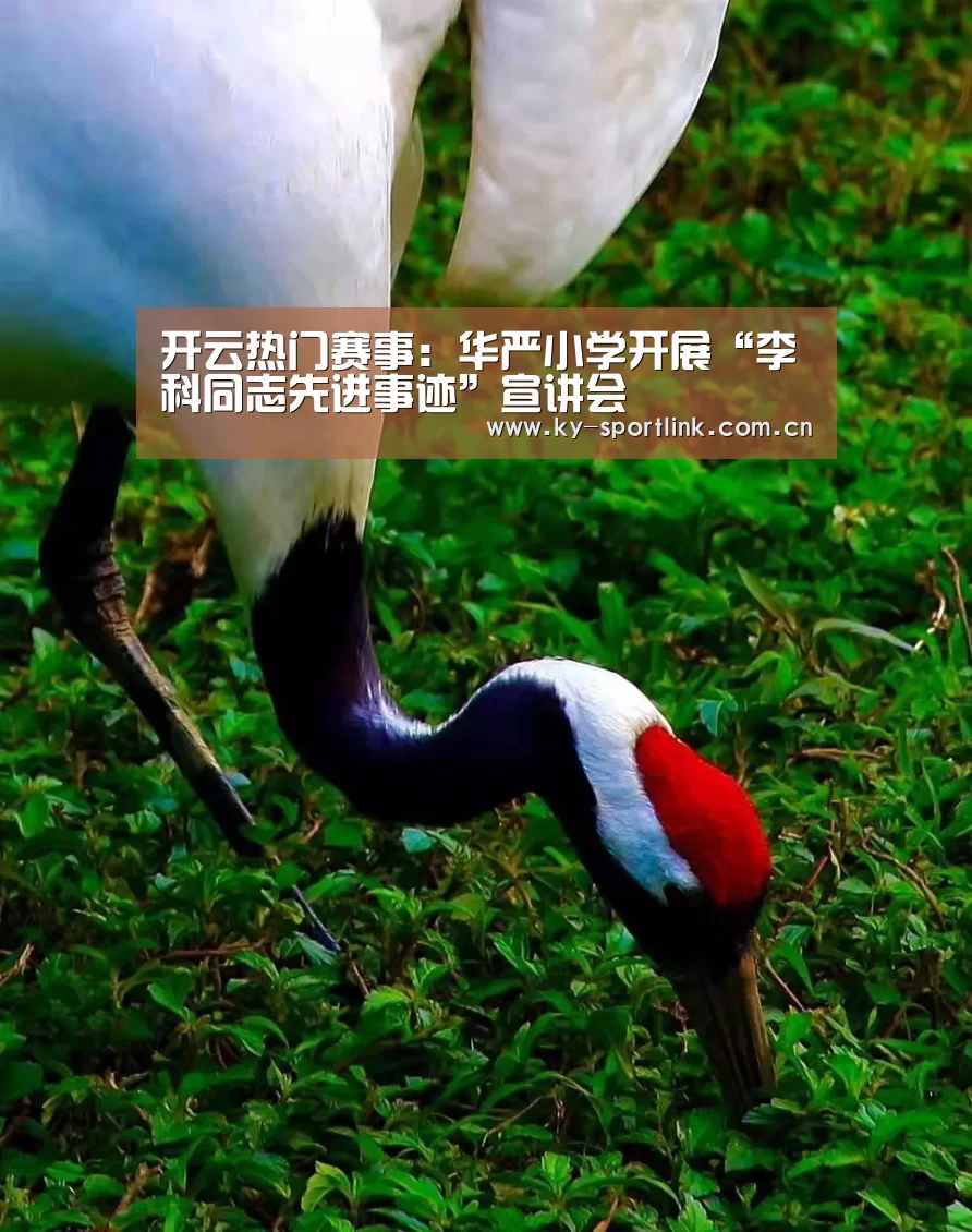 开云官网